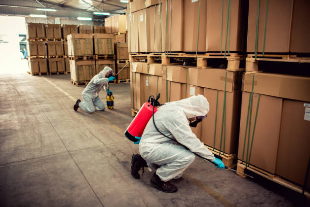 Best Pest Control for Homes  in Margate, FL