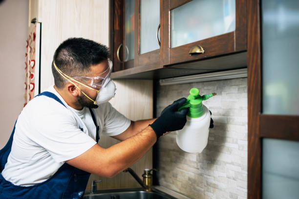Best Pest Removal Services  in Margate, FL