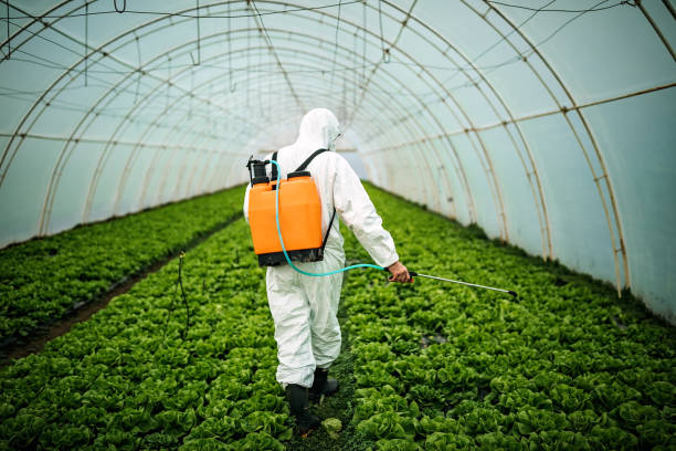 Best Mosquito Control Services  in Margate, FL