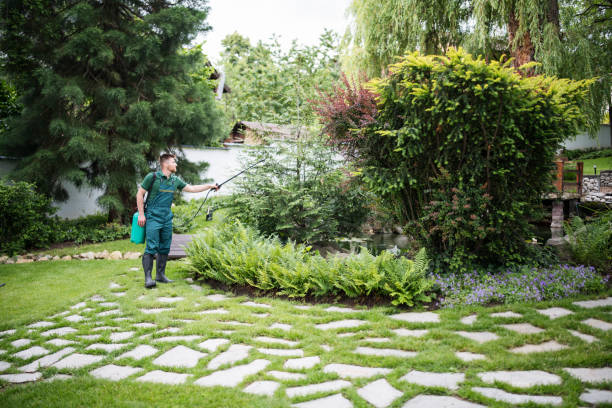 Best Commercial Pest Control Services  in Margate, FL