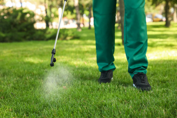 Best Local Pest Control Services  in Margate, FL