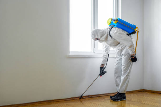 Best Termite Control Services  in Margate, FL