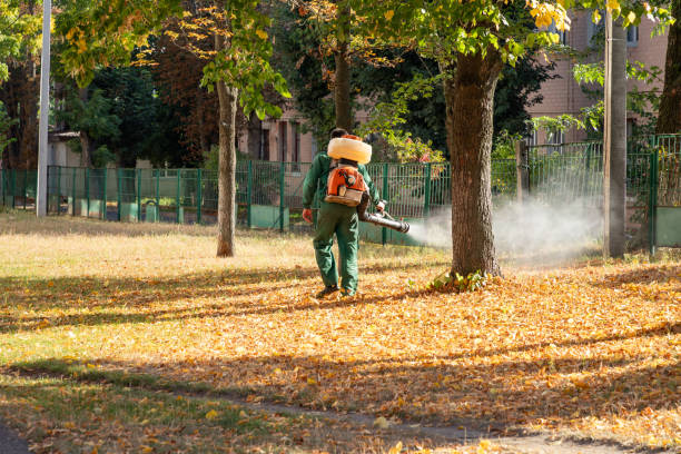 Professional Pest Control in Margate, FL