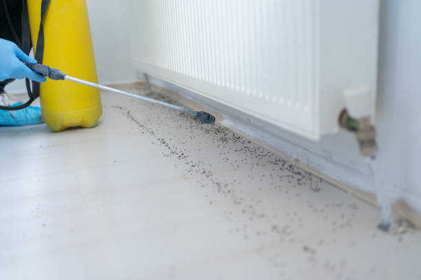 Best Best Pest Control Companies  in Margate, FL