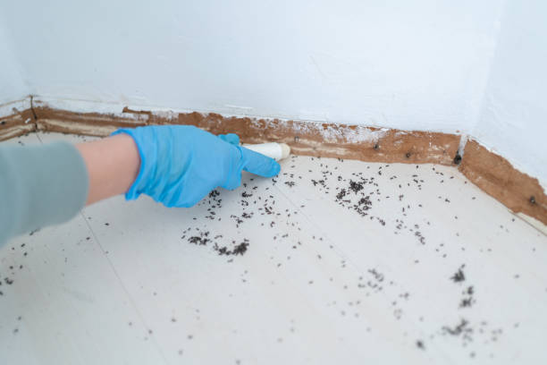Best Cockroach Control Services  in Margate, FL