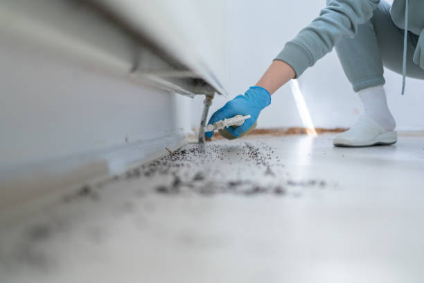 Best Emergency Pest Control  in Margate, FL